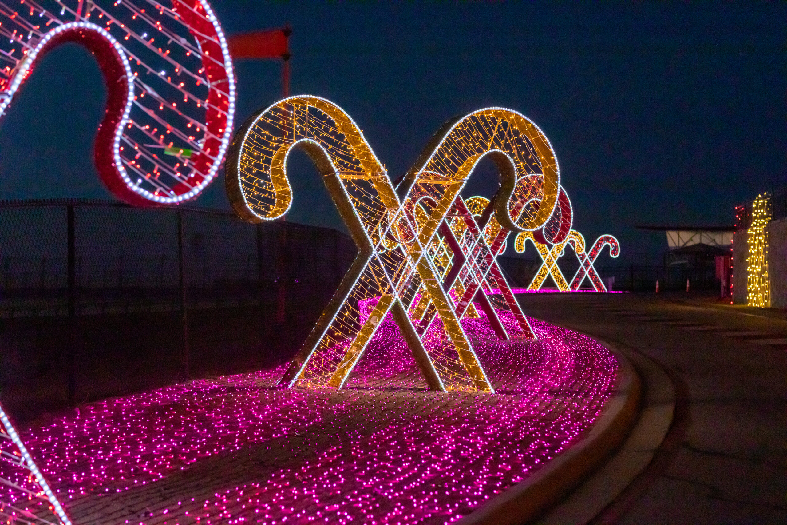 COTA-Holiday2020-54