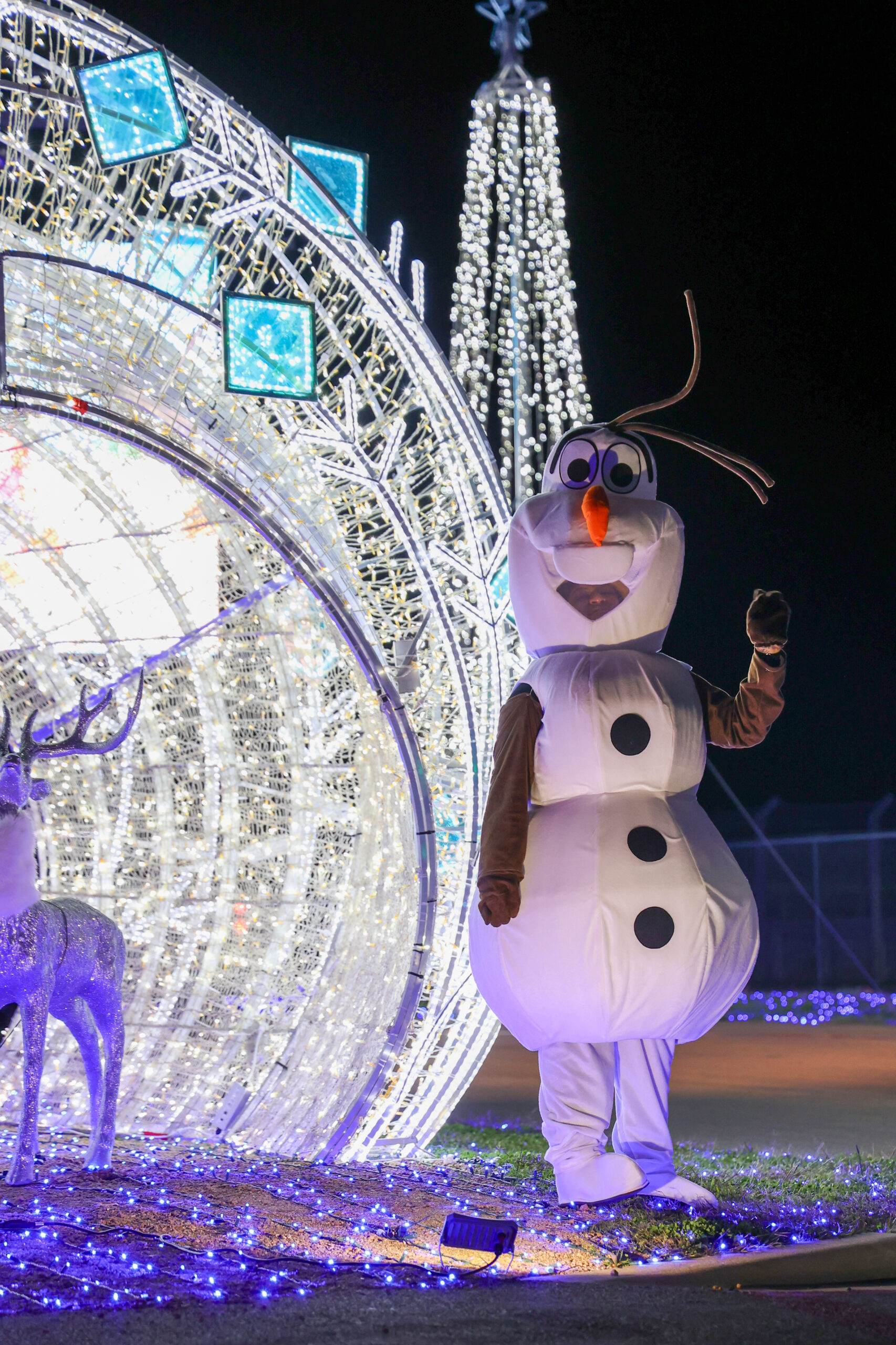 Person in an Olaf snowman costume stands next to illuminated holiday decorations, including a reindeer and light tunnel, at night.