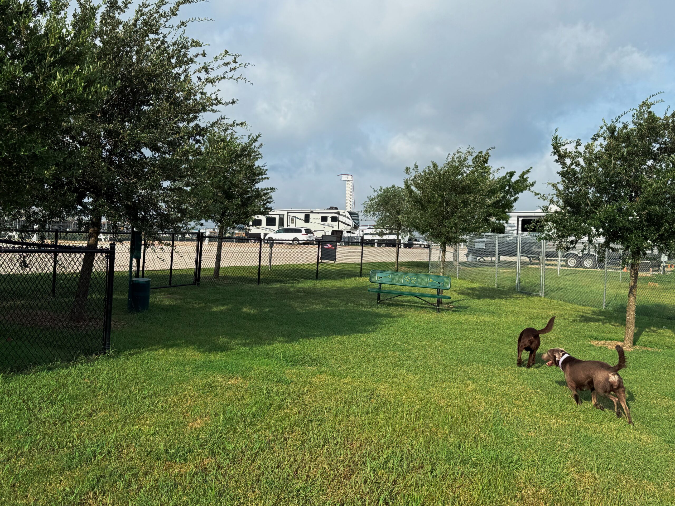 Two dogs sniff the grass near a green bench in a fenced grassy area with trees; RVs and trailers are visible in the background.