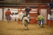A rodeo participant rides a bucking bull in an arena while two rodeo clowns stand nearby, ready to assist.